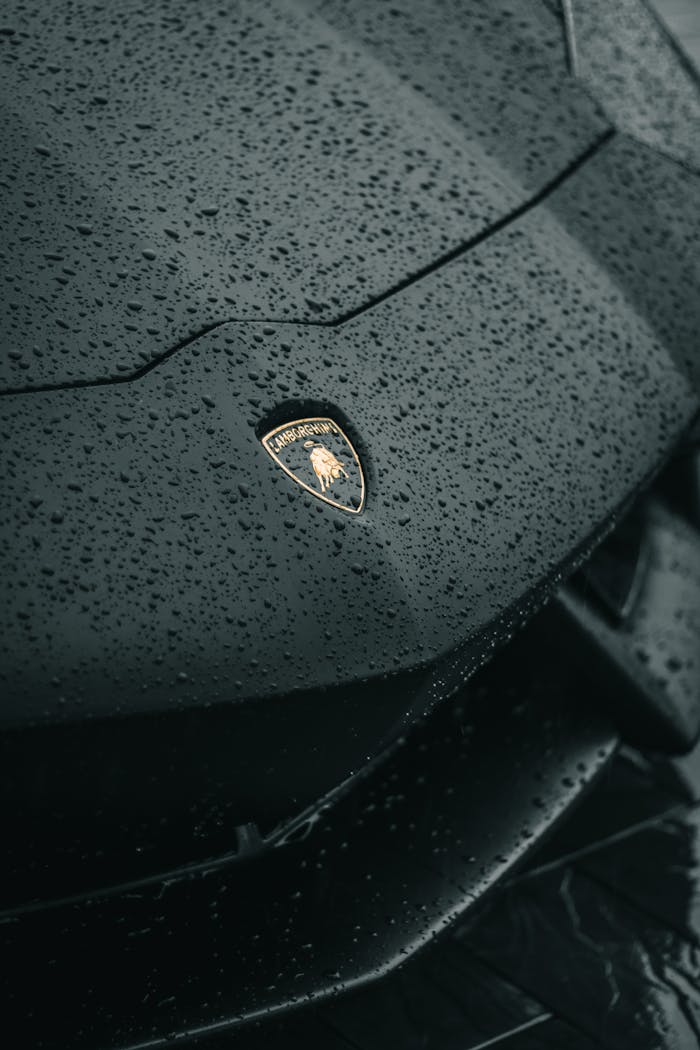 services-01 Detailed shot of Lamborghini emblem on a wet car hood showcasing luxury and elegance.